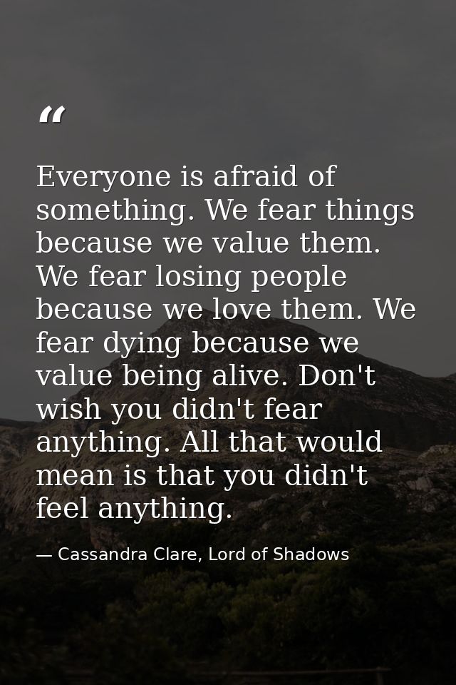 Everyone is afraid of something. We fear things because we value them. We fear losing people because we love them. We fe — Cassandra Clare, Lord of Shadows