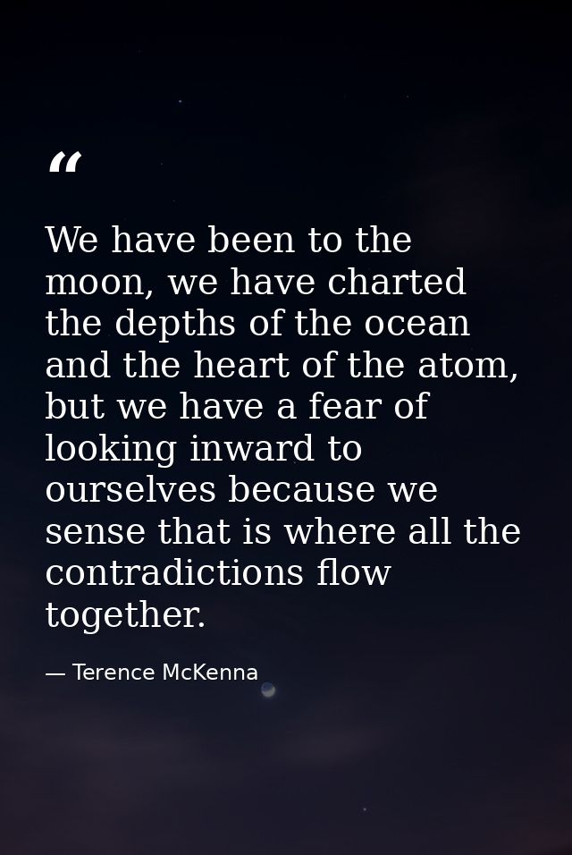 We have been to the moon, we have charted the depths of the ocean and the heart of the atom, but we have a fear of looki — Terence McKenna
