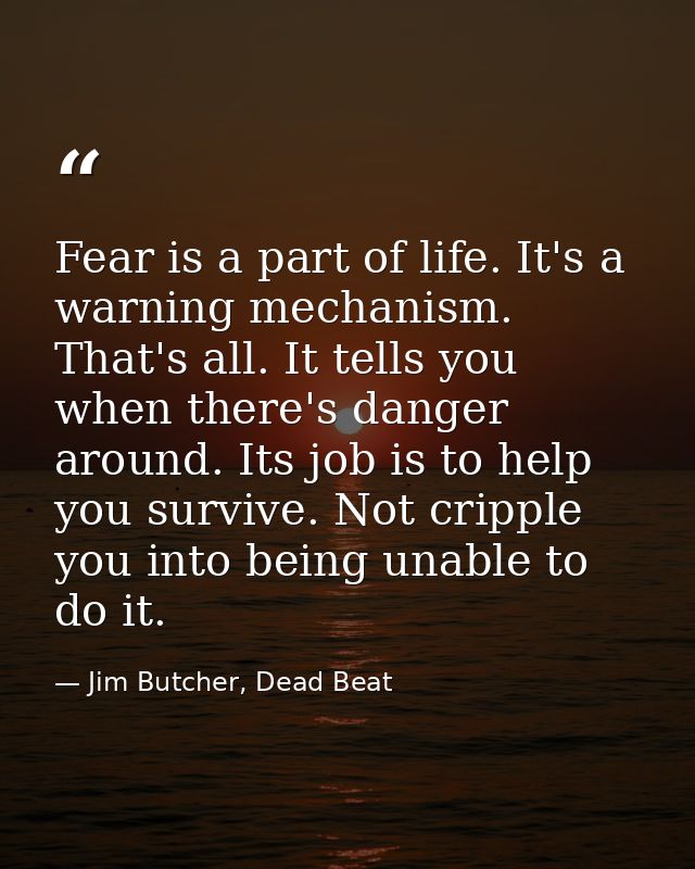 Fear is a part of life. It's a warning mechanism. That's all. It tells you when there's danger around. Its job is to hel — Jim Butcher, Dead Beat