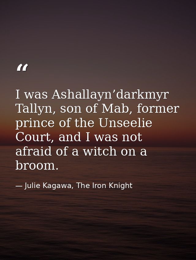 I was Ashallayn’darkmyr Tallyn, son of Mab, former prince of the Unseelie Court, and I was not afraid of a witch on a br — Julie Kagawa, The Iron Knight