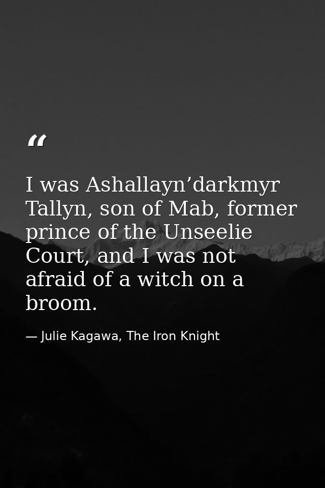 I was Ashallayn’darkmyr Tallyn, son of Mab, former prince of the Unseelie Court, and I was not afraid of a witch on a br — Julie Kagawa, The Iron Knight