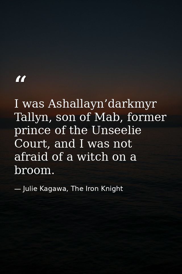 I was Ashallayn’darkmyr Tallyn, son of Mab, former prince of the Unseelie Court, and I was not afraid of a witch on a br — Julie Kagawa, The Iron Knight