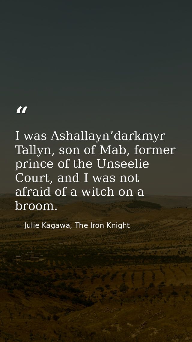 I was Ashallayn’darkmyr Tallyn, son of Mab, former prince of the Unseelie Court, and I was not afraid of a witch on a br — Julie Kagawa, The Iron Knight