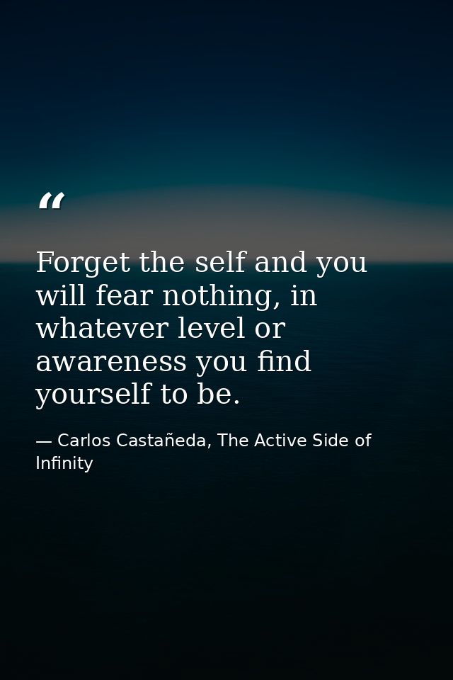Forget the self and you will fear nothing, in whatever level or awareness you find yourself to be. — Carlos Castañeda, The Active Side of Infinity