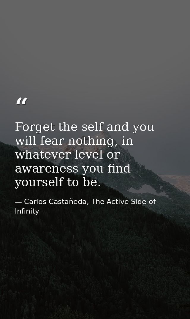 Forget the self and you will fear nothing, in whatever level or awareness you find yourself to be. — Carlos Castañeda, The Active Side of Infinity