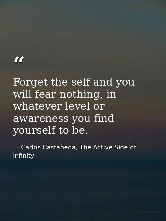 Forget the self and you will fear nothing, in whatever level or awareness you find yourself to be. — Carlos Castañeda, The Active Side of Infinity