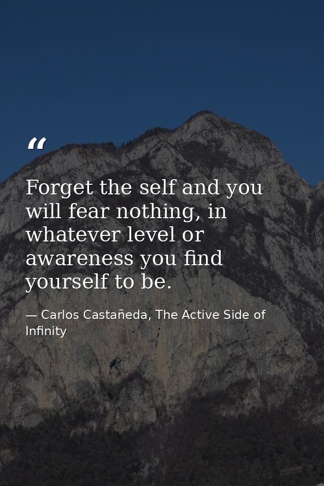 Forget the self and you will fear nothing, in whatever level or awareness you find yourself to be. — Carlos Castañeda, The Active Side of Infinity