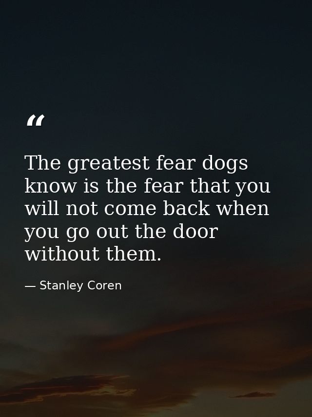 The greatest fear dogs know is the fear that you will not come back when you go out the door without them. — Stanley Coren
