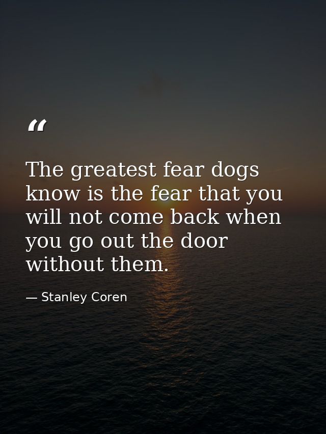 The greatest fear dogs know is the fear that you will not come back when you go out the door without them. — Stanley Coren