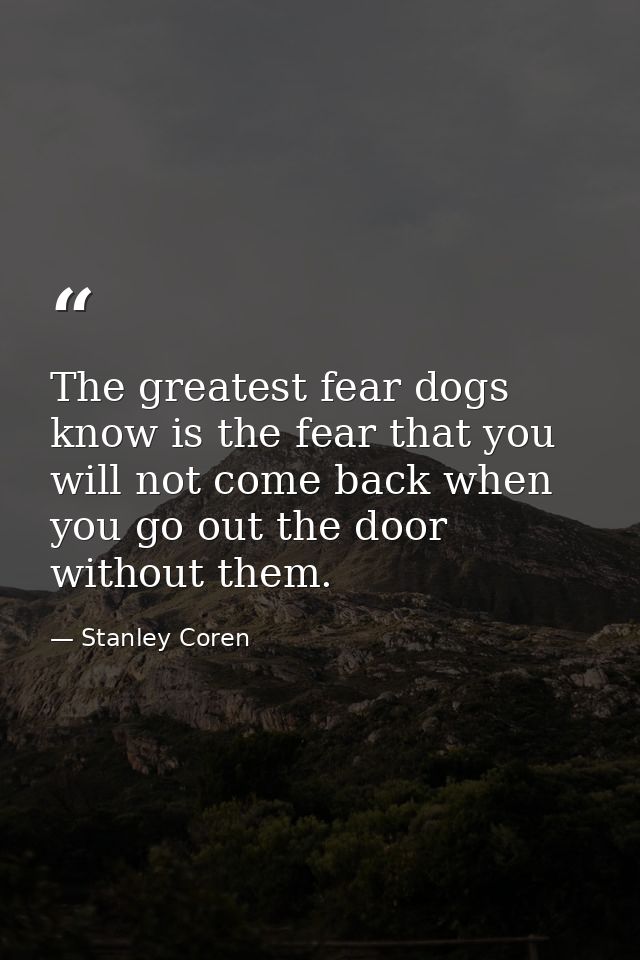 The greatest fear dogs know is the fear that you will not come back when you go out the door without them. — Stanley Coren