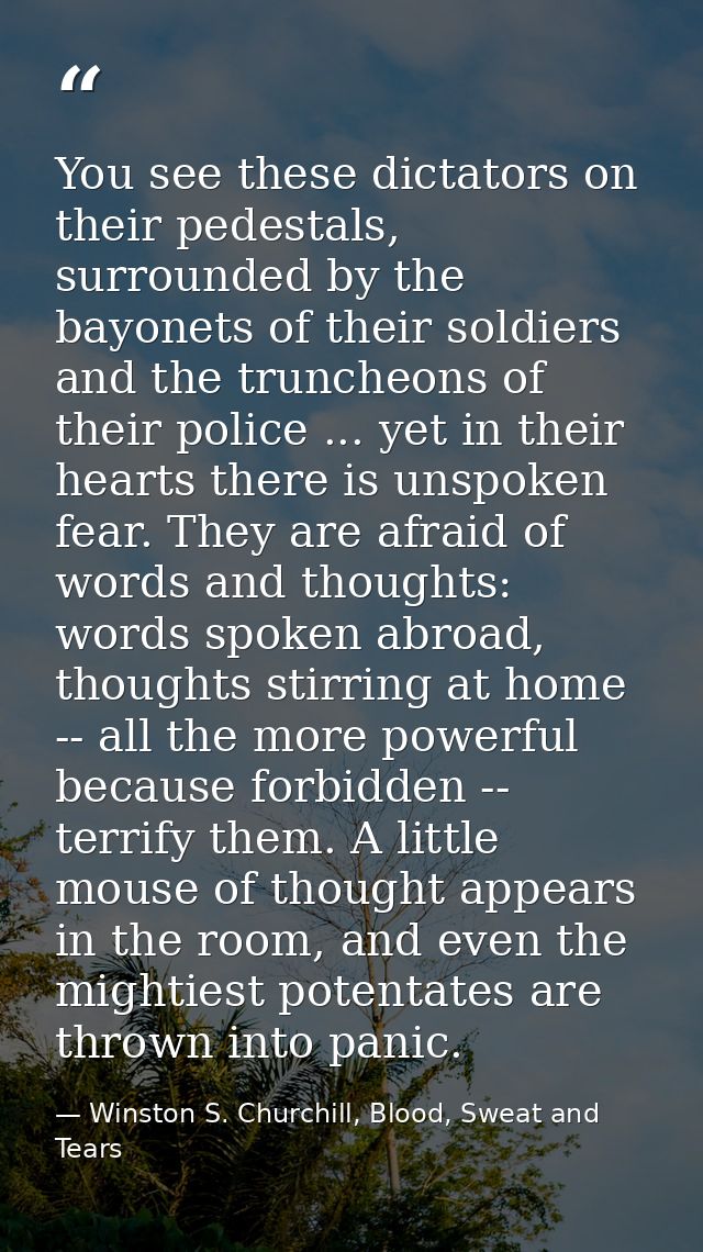 You see these dictators on their pedestals, surrounded by the bayonets of their soldiers and the truncheons of their pol — Winston S. Churchill, Blood, Sweat and Tears