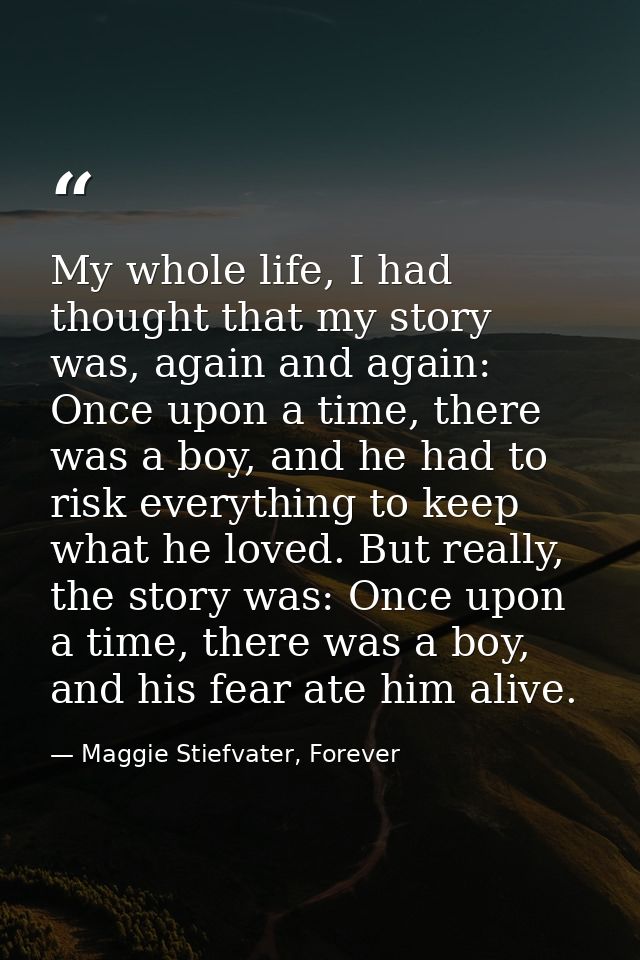 My whole life, I had thought that my story was, again and again: Once upon a time, there was a boy, and he had to risk e — Maggie Stiefvater, Forever