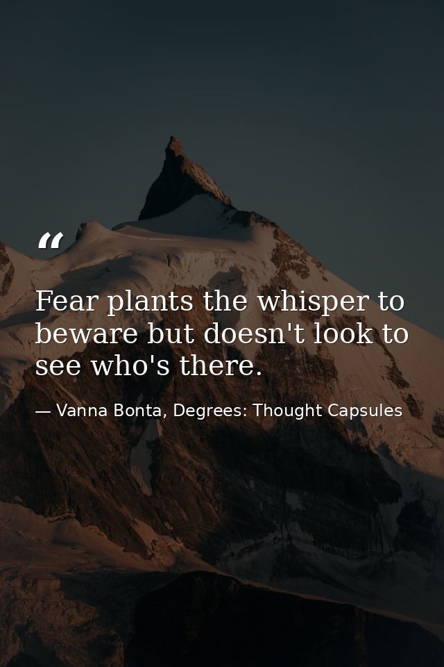 Fear plants the whisper to beware but doesn't look to see who's there. — Vanna Bonta, Degrees: Thought Capsules