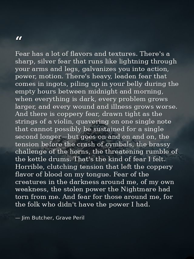 Fear has a lot of flavors and textures. There's a sharp, silver fear that runs like lightning through your arms and legs — Jim Butcher, Grave Peril