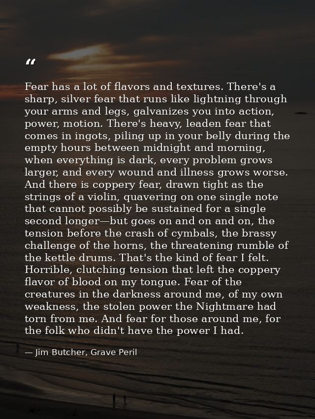 Fear has a lot of flavors and textures. There's a sharp, silver fear that runs like lightning through your arms and legs — Jim Butcher, Grave Peril