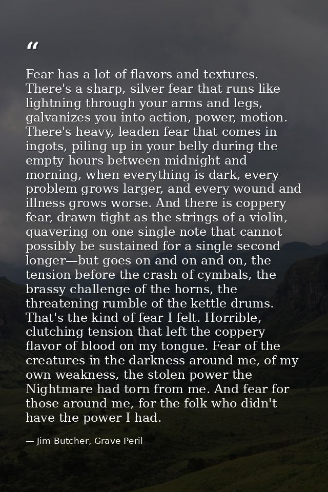 Fear has a lot of flavors and textures. There's a sharp, silver fear that runs like lightning through your arms and legs — Jim Butcher, Grave Peril