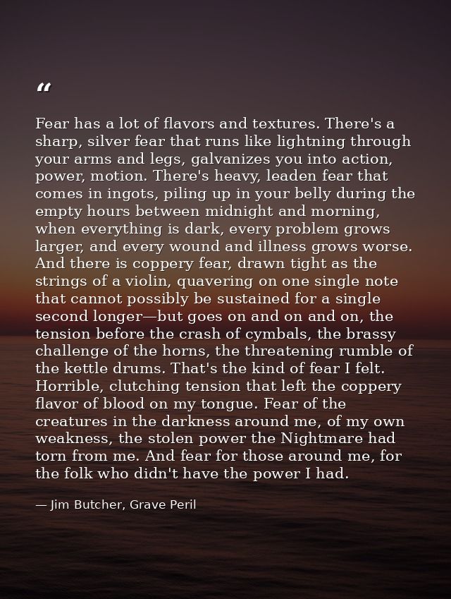 Fear has a lot of flavors and textures. There's a sharp, silver fear that runs like lightning through your arms and legs — Jim Butcher, Grave Peril