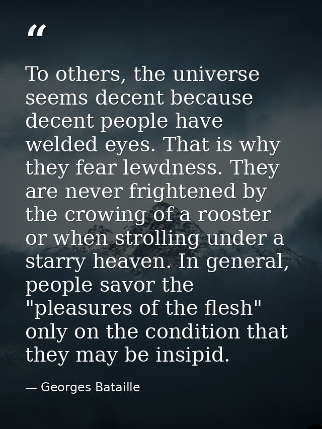 To others, the universe seems decent because decent people have welded eyes. That is why they fear lewdness. They are ne — Georges Bataille