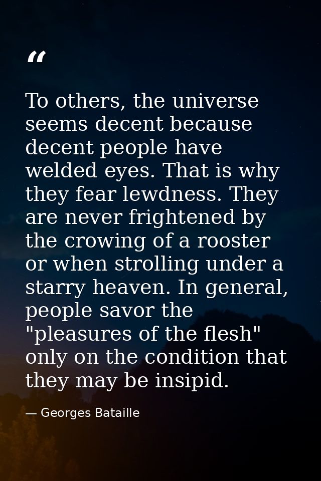 To others, the universe seems decent because decent people have welded eyes. That is why they fear lewdness. They are ne — Georges Bataille