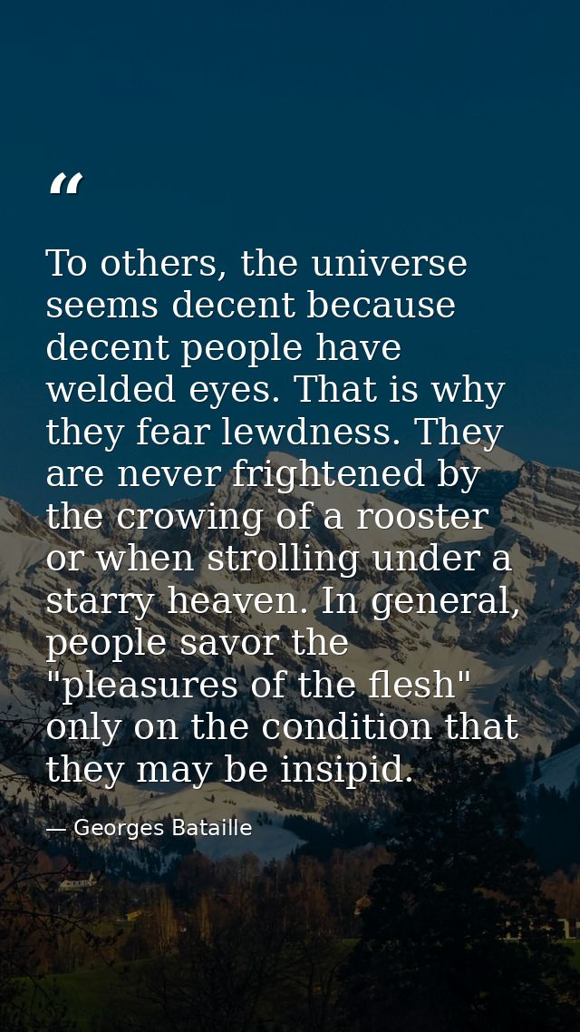 To others, the universe seems decent because decent people have welded eyes. That is why they fear lewdness. They are ne — Georges Bataille