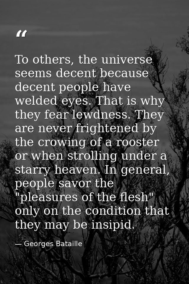 To others, the universe seems decent because decent people have welded eyes. That is why they fear lewdness. They are ne — Georges Bataille