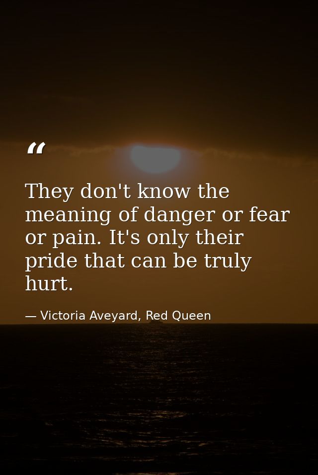 They don't know the meaning of danger or fear or pain. It's only their pride that can be truly hurt. — Victoria Aveyard, Red Queen