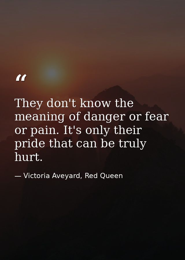 They don't know the meaning of danger or fear or pain. It's only their pride that can be truly hurt. — Victoria Aveyard, Red Queen