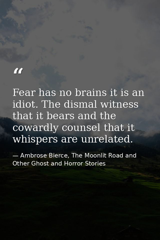 Fear has no brains it is an idiot. The dismal witness that it bears and the cowardly counsel that it whispers are unrela — Ambrose Bierce, The Moonlit Road and Other Ghost and Horror Stories