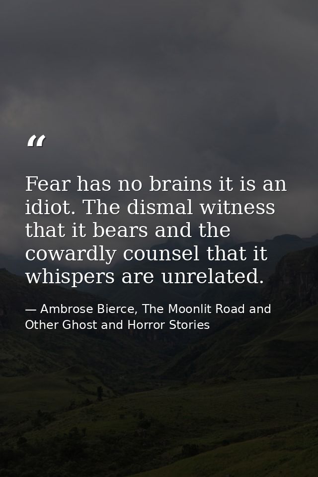 Fear has no brains it is an idiot. The dismal witness that it bears and the cowardly counsel that it whispers are unrela — Ambrose Bierce, The Moonlit Road and Other Ghost and Horror Stories