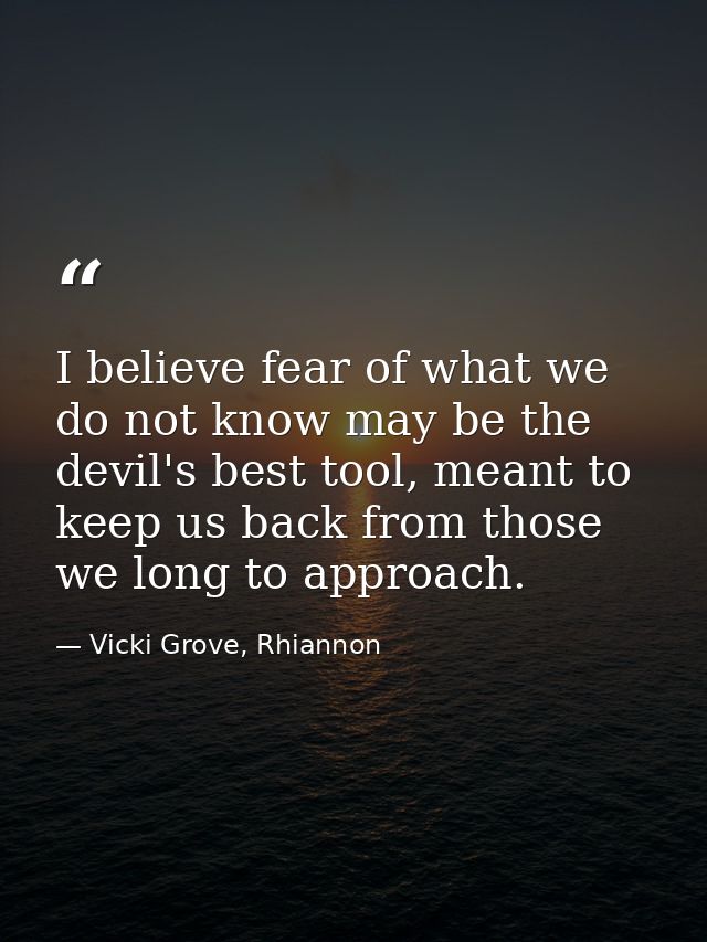 I believe fear of what we do not know may be the devil's best tool, meant to keep us back from those we long to approach — Vicki Grove, Rhiannon