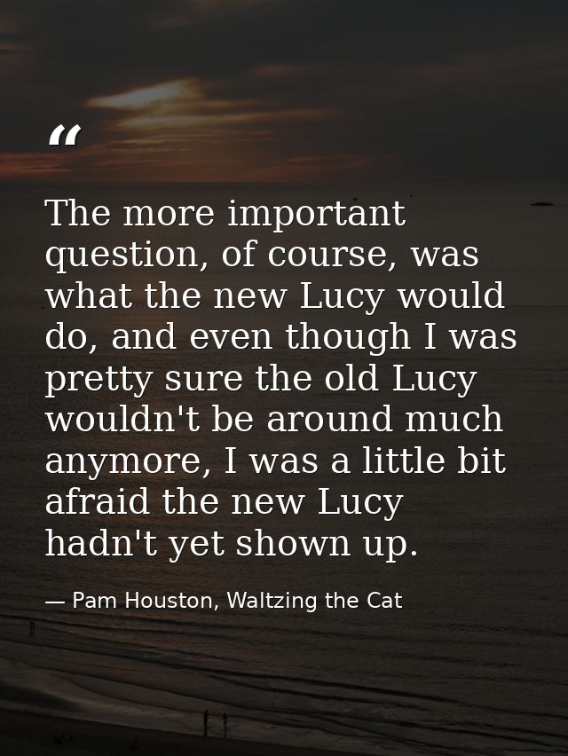 The more important question, of course, was what the new Lucy would do, and even though I was pretty sure the old Lucy w — Pam Houston, Waltzing the Cat