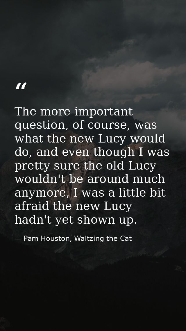 The more important question, of course, was what the new Lucy would do, and even though I was pretty sure the old Lucy w — Pam Houston, Waltzing the Cat