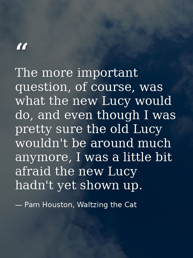 The more important question, of course, was what the new Lucy would do, and even though I was pretty sure the old Lucy w — Pam Houston, Waltzing the Cat