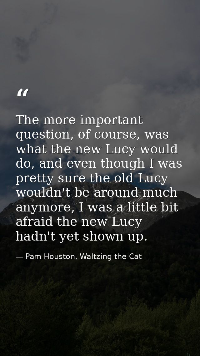 The more important question, of course, was what the new Lucy would do, and even though I was pretty sure the old Lucy w — Pam Houston, Waltzing the Cat