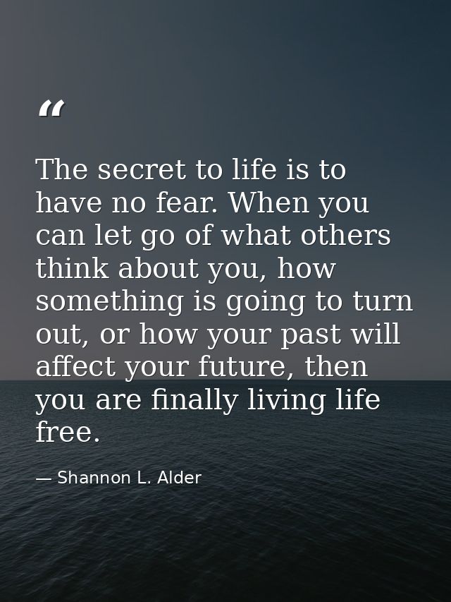 The secret to life is to have no fear. When you can let go of what others think about you, how something is going to tur — Shannon L. Alder