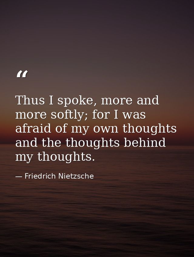 Thus I spoke, more and more softly; for I was afraid of my own thoughts and the thoughts behind my thoughts. — Friedrich Nietzsche