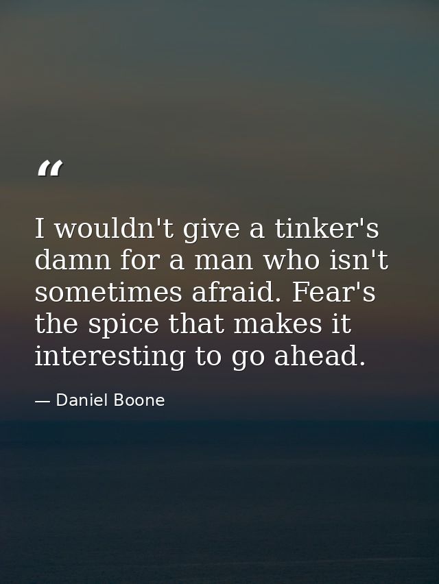I wouldn't give a tinker's damn for a man who isn't sometimes afraid. Fear's the spice that makes it interesting to go a — Daniel Boone