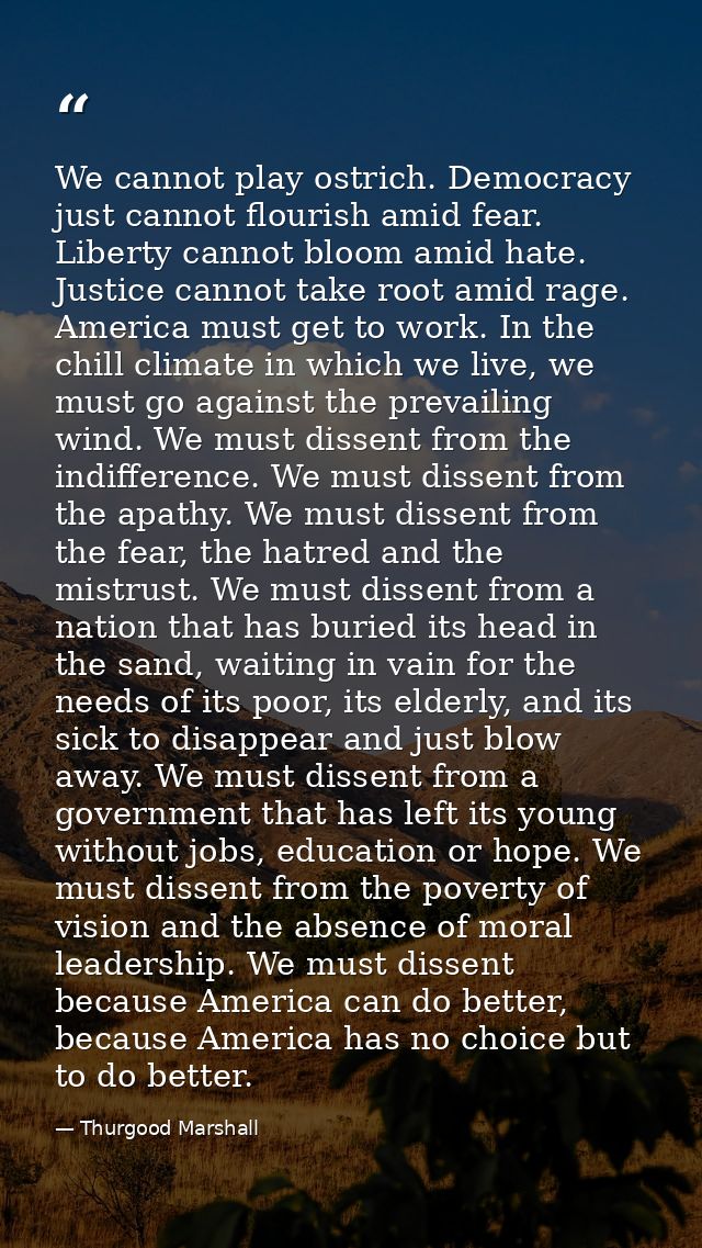 We cannot play ostrich. Democracy just cannot flourish amid fear. Liberty cannot bloom amid hate. Justice cannot take ro — Thurgood Marshall