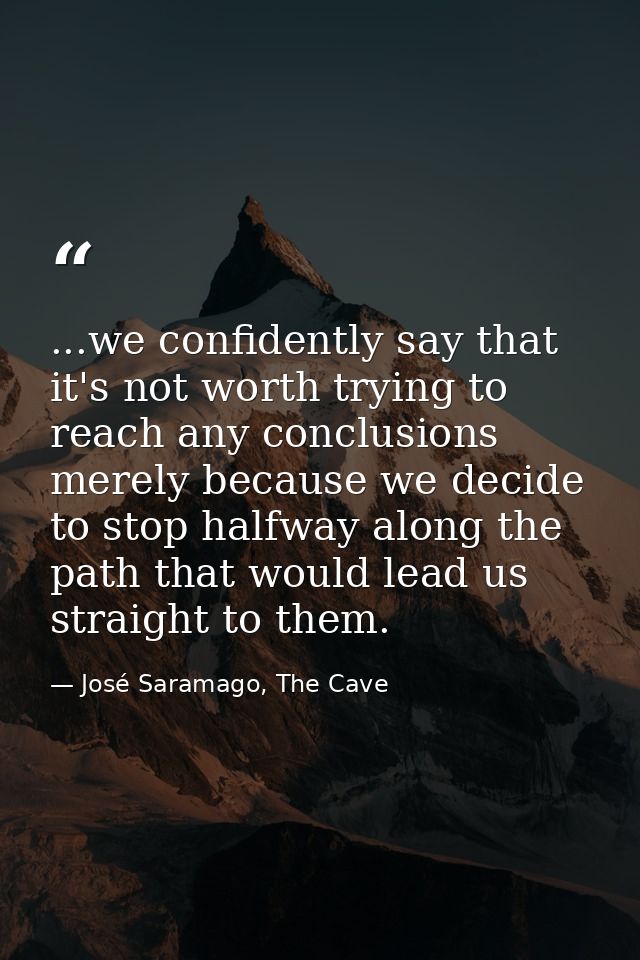 ...we confidently say that it's not worth trying to reach any conclusions merely because we decide to stop halfway along — José Saramago, The Cave