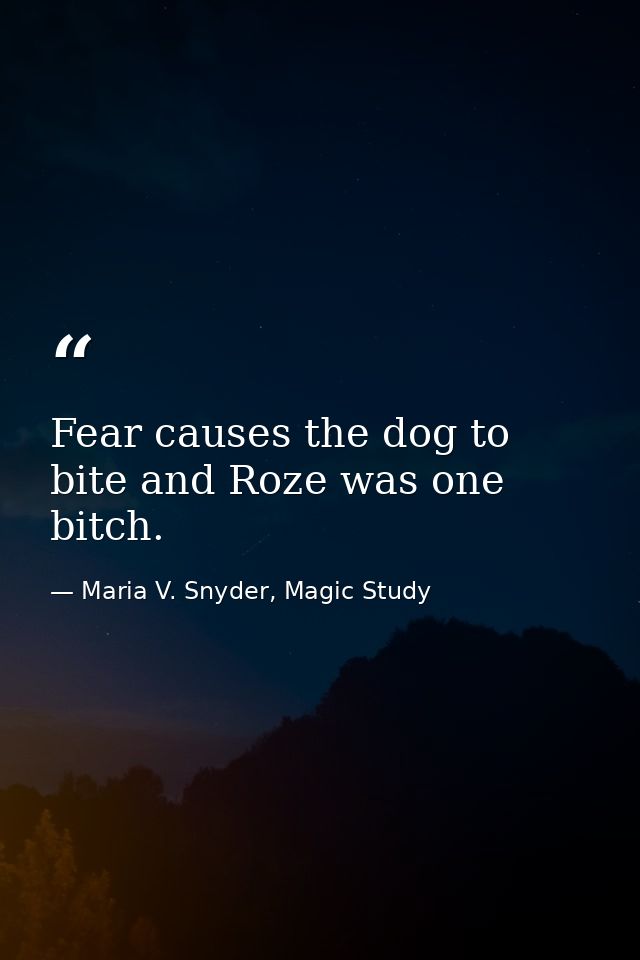 Fear causes the dog to bite and Roze was one bitch. — Maria V. Snyder, Magic Study