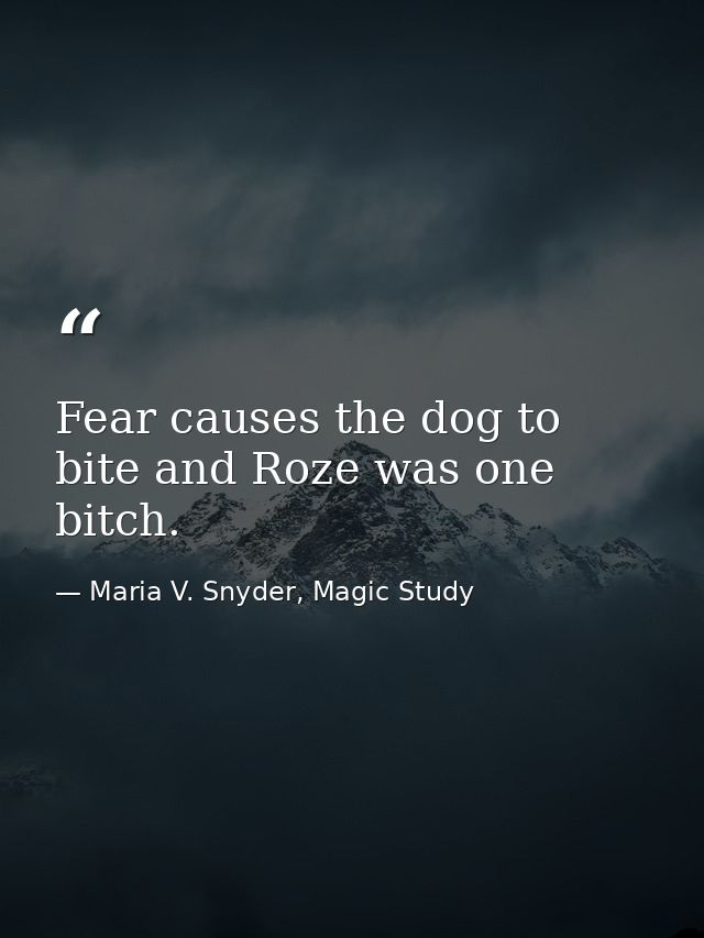 Fear causes the dog to bite and Roze was one bitch. — Maria V. Snyder, Magic Study
