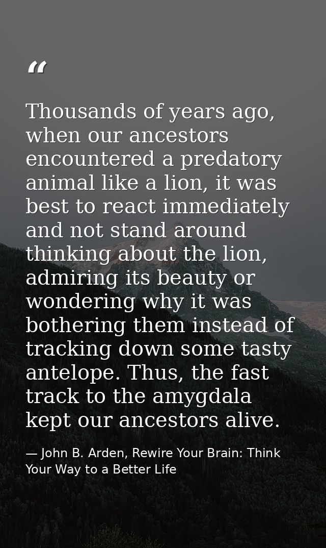 Thousands of years ago, when our ancestors encountered a predatory animal like a lion, it was best to react immediately  — John B. Arden, Rewire Your Brain: Think Your Way to a Better Life