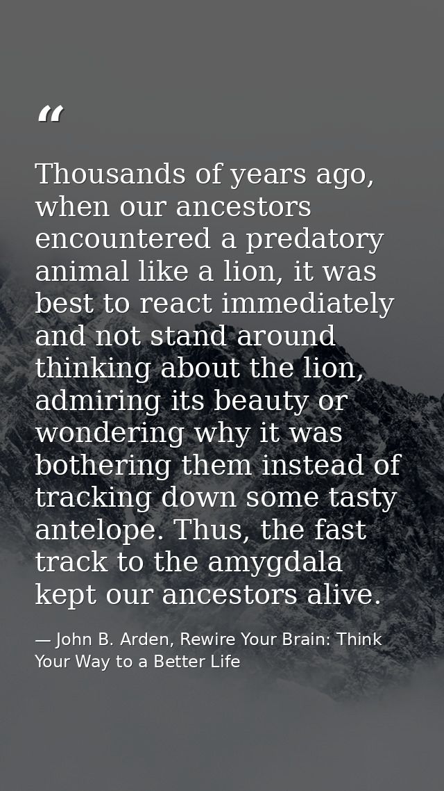 Thousands of years ago, when our ancestors encountered a predatory animal like a lion, it was best to react immediately  — John B. Arden, Rewire Your Brain: Think Your Way to a Better Life