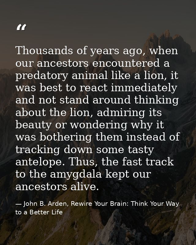 Thousands of years ago, when our ancestors encountered a predatory animal like a lion, it was best to react immediately  — John B. Arden, Rewire Your Brain: Think Your Way to a Better Life
