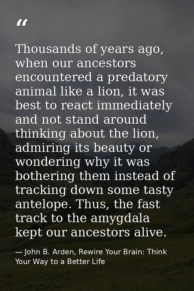 Thousands of years ago, when our ancestors encountered a predatory animal like a lion, it was best to react immediately  — John B. Arden, Rewire Your Brain: Think Your Way to a Better Life