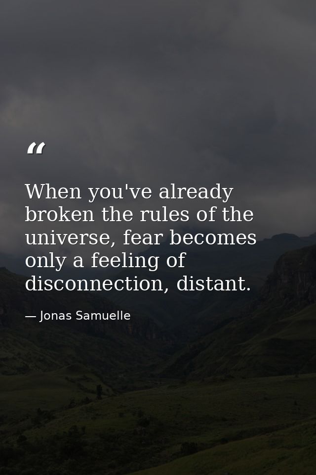 When you've already broken the rules of the universe, fear becomes only a feeling of disconnection, distant. — Jonas Samuelle