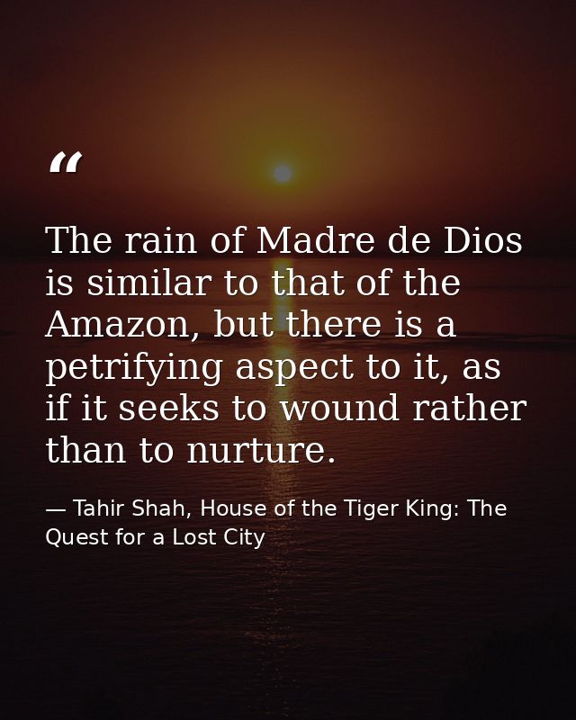 The rain of Madre de Dios is similar to that of the Amazon, but there is a petrifying aspect to it, as if it seeks to wo — Tahir Shah, House of the Tiger King: The Quest for a Lost City