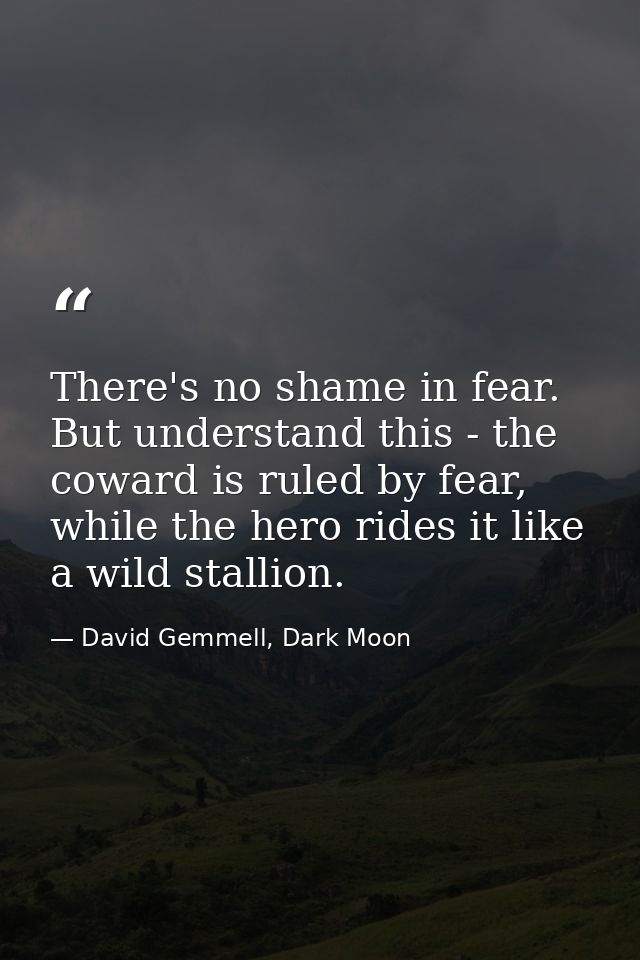 There's no shame in fear. But understand this - the coward is ruled by fear, while the hero rides it like a wild stallio — David Gemmell, Dark Moon