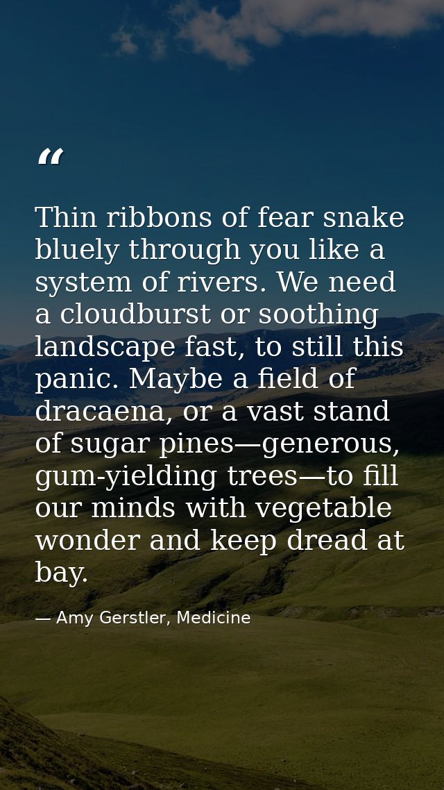Thin ribbons of fear snake bluely through you like a system of rivers. We need a cloudburst or soothing landscape fast,  — Amy Gerstler, Medicine