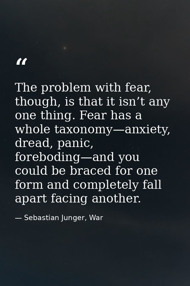 The problem with fear, though, is that it isn’t any one thing. Fear has a whole taxonomy—anxiety, dread, panic, forebodi — Sebastian Junger, War